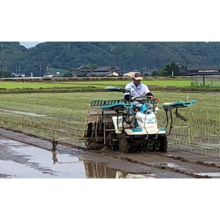 ふるさと納税 一鹿米 旭一号 JAS米 白米 20kg[ZCL012] 熊本県山鹿市