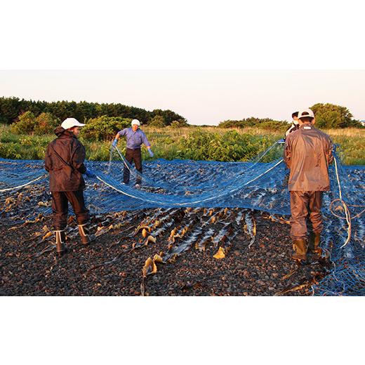 ふるさと納税 北海道 利尻富士町 利尻昆布「カット昆布10セット」お届け！《昆布屋神兵衛》