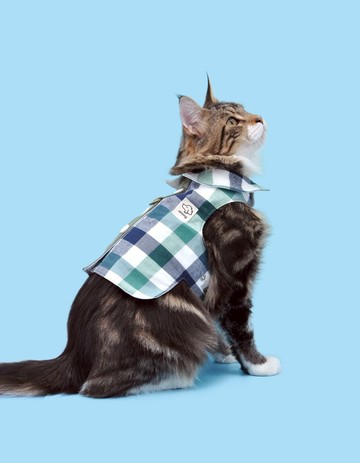 墨格 Among 寵物胸背衣