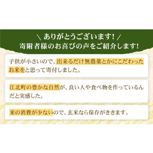 ふるさと納税 佐賀県 江北町 令和5年産 新米 さがびより 玄米 30kg [HAC001]