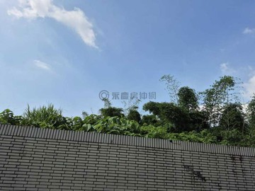 燕巢/近樹德科大/深水社區臨路農地79916｜高雄市燕巢區深興段