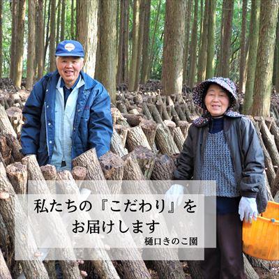 ふるさと納税 霧島市  特選!どんこ椎茸(100g×3個) 　A8-015