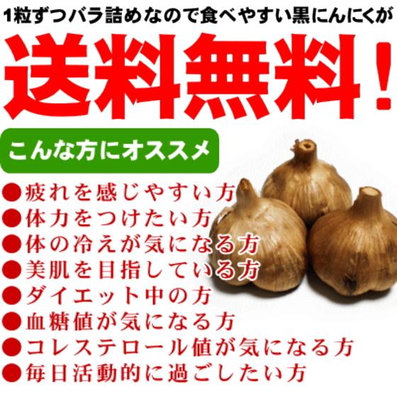 黒にんにく 青森 500g 送料無料