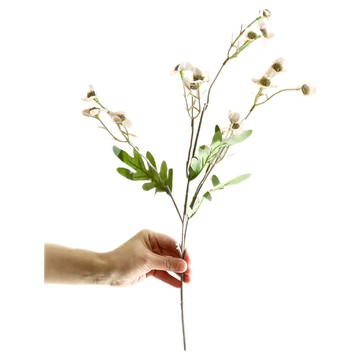 KUIBAO 快豹生活 小蘇梅仿真假花  淺香檳金  6個