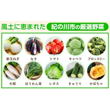 ふるさと納税 野菜 野菜セット 紀の川市の恵み 旬のフルーツ＆野菜セット 計8~10品《お申込み月翌月から出荷開始》和歌山県.. 和歌山県紀の川市