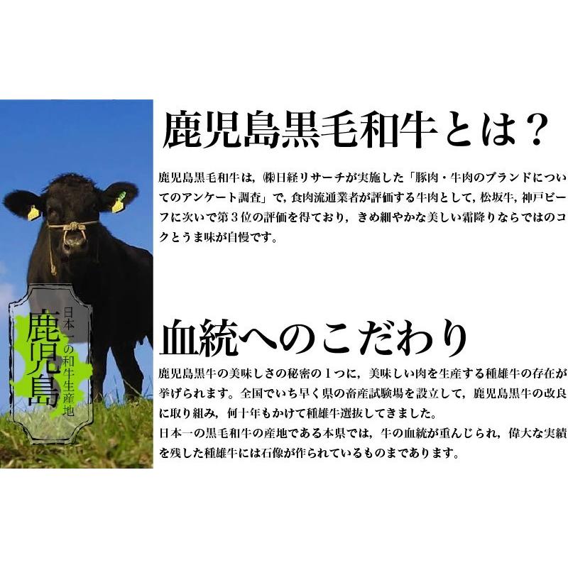 鹿児島黒牛熟成肉　ドライエイジングビーフ　モモステーキ　加熱用　100g × 10枚