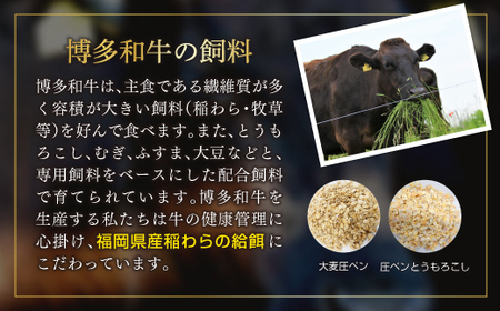 Y20 博多和牛しゃぶしゃぶすき焼き用（肩ロース肉・肩バラ・モモ肉）5kg(500g×10ｐ)