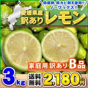 訳あり レモンＢ品 3kg 愛媛県産 サイズおまかせ 家庭用 訳あり 送料無料 箱買い 3キロ