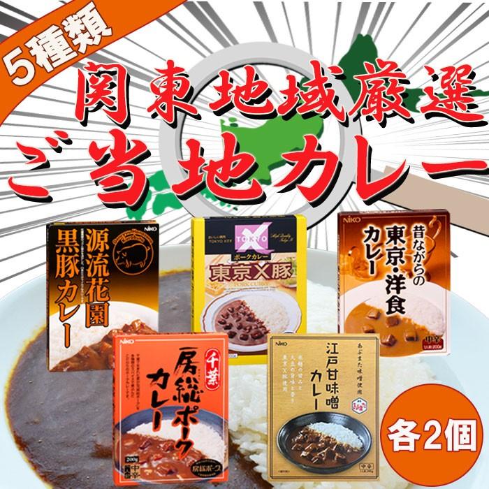 関東地域厳選 ご当地カレー 5種類10食詰め合わせセット レトルトカレー レトルト食品