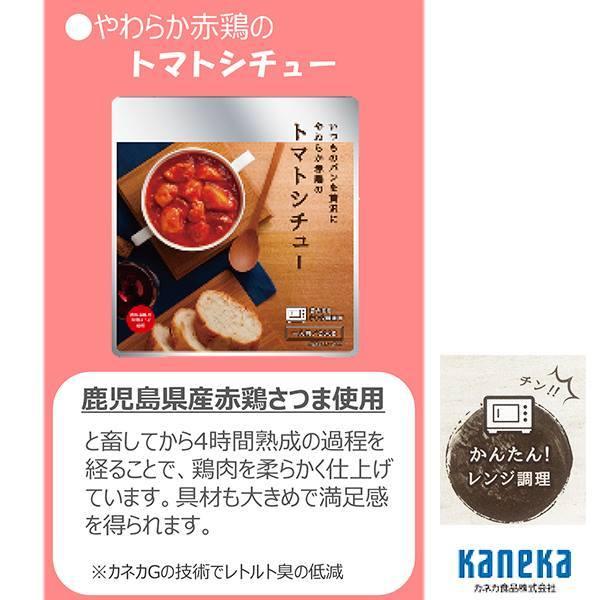 こだわり シチュー カネカ食品 ビーフシチュー トマトシチュー クリームシチュー 3種類各1袋 お試し3袋セット レンジ調理