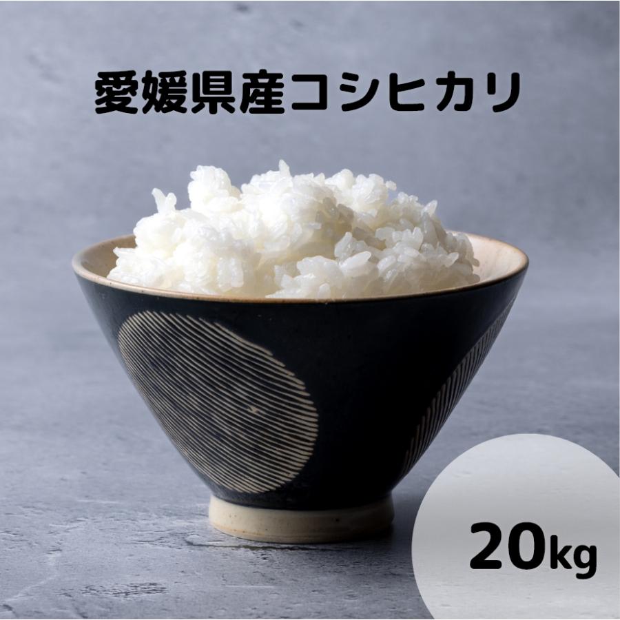 お米 令和元年 愛媛県産ヒノヒカリ 玄米 20 kg食品/飲料/酒 - 米/穀物