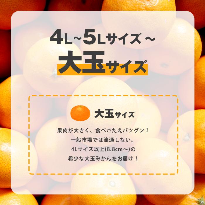 送料無料 みかん 三ケ日みかん 三ヶ日みかん ミカン 8kg 三ヶ日 三ケ日 青島 どうまいらぁ！ 大玉 大きい 大きめ 4L 5L 産地直送 ミカン 蜜柑 8キロ 静岡県 大粒