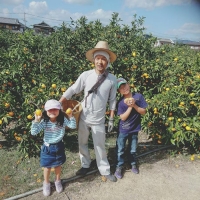 有田みかん秀品 5kg　木成り完熟大ちゃんの畑農園