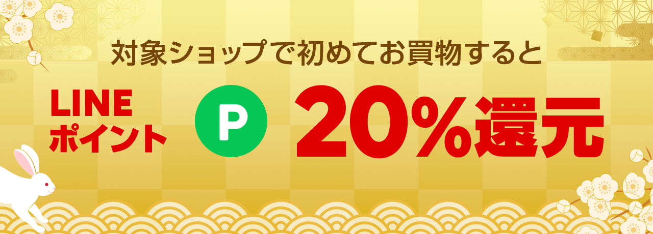 新規20%ポイント