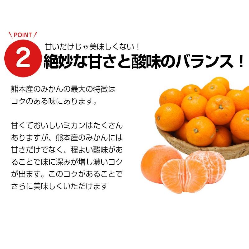 熊本産　みかん Mサイズ 5kg 送料無料 果物ギフト ギフト・ご贈答用 ご家庭用