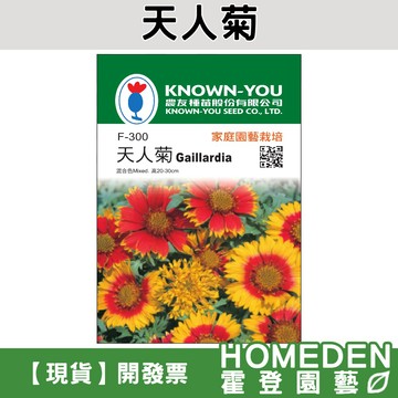【隔日到貨】天人菊 F-300 混合色 花卉種子 農友牌 小包裝種子 約40粒/包【HOMEDEN霍登園藝】