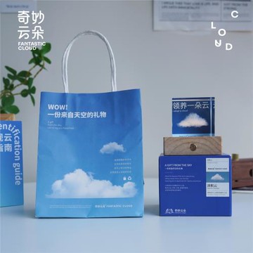 領養一朵云奇妙云朵創意擺件生日禮物送女友男友小眾圣誕節禮物