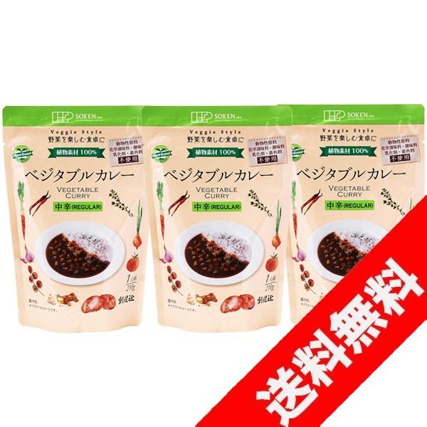 創健社ベジタブルカレー REGULAR 中辛 レトルト 210g×3袋セット