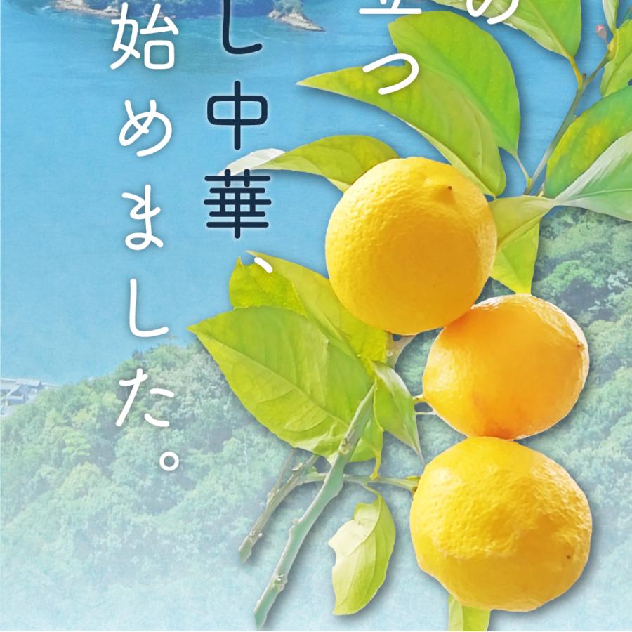 送料無料 冷やし中華 1食 (90g×1袋) 瀬戸内レモンスープ 1袋付 取り寄せ ご当地グルメ お試し 食品 グルメ 食べ物 プレゼント お中元 御中元 ギフト 夏ギフト