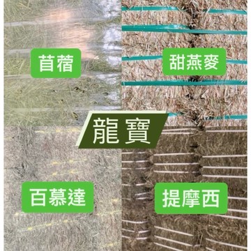 龍寶牧草🔥現貨速出🔥紫花苜蓿🐇 百慕達 甜燕麥 乾牧草 提摩西 苜蓿 兔子 天竺鼠 龍貓 陸龜