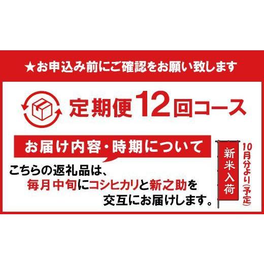 ふるさと納税 新潟県 南魚沼市 南魚沼産コシヒカリ・新之助5kg×12回