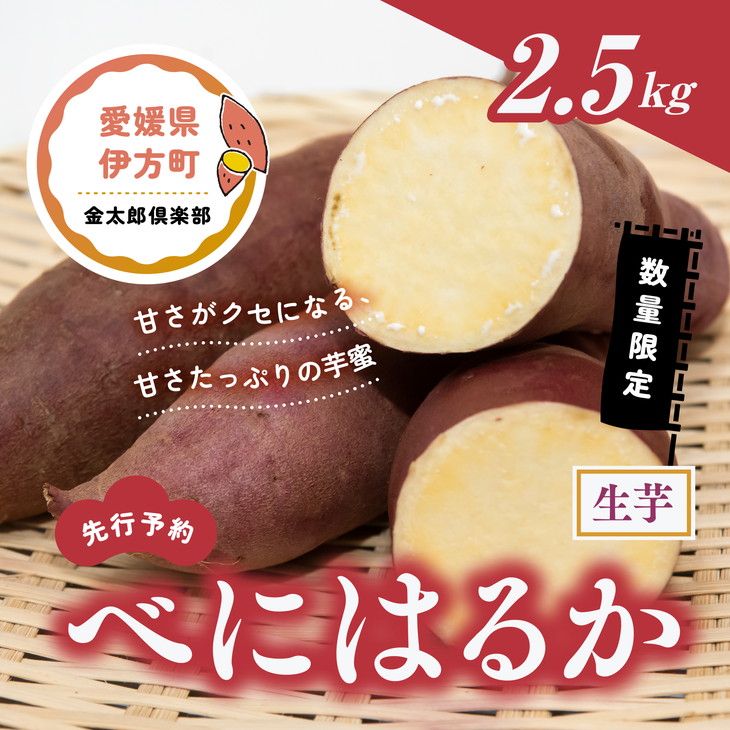 べにはるか 生芋（2.5kg）| 紅はるか さつまいも サツマイモ 産地直送 ※2023年12月上旬～2024年4月下旬頃に順次発送予定