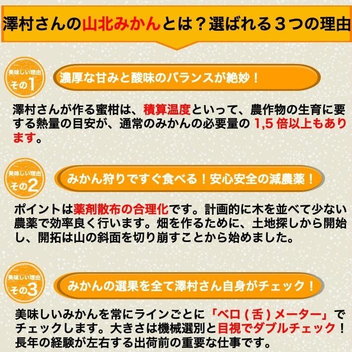 山北みかん 減農薬 約2kg  お試し品 訳あり サイズ混合  温州みかん 送料無料 高知県産