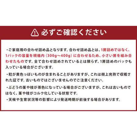 ふるさと納税  訳あり ご家庭用 シャインマスカット 3パック 約1kg ぶどう 長崎県時津町