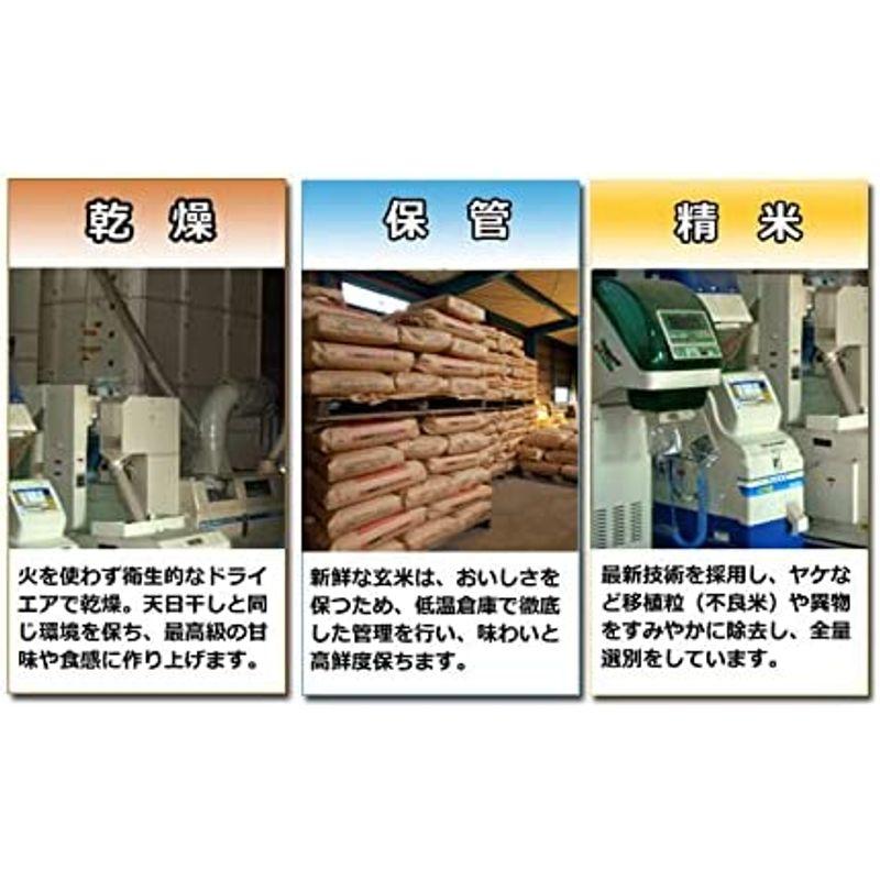 当日精米お米 10kg コシヒカリ 3分づき 5kg×2 京都府 丹後産 一等米 令和4年産 有機質肥料使用