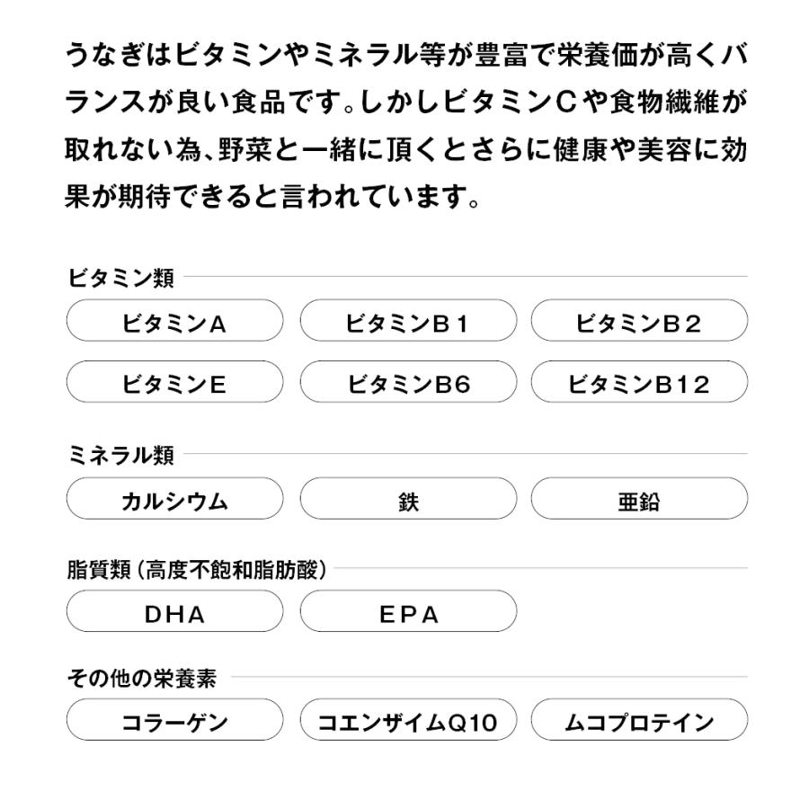 うなぎ 蒲焼き 2尾 鰻 特大