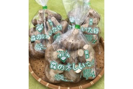 淡路島産の菌床生椎茸（しいたけ）