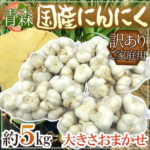 青森県 訳あり ”国産にんにく” 約5kg 送料無料