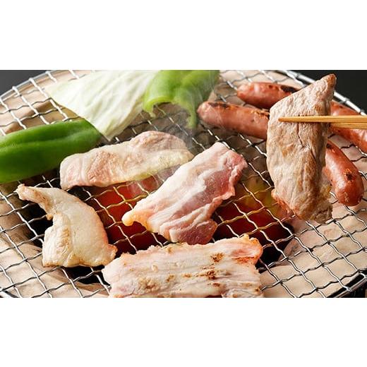 ふるさと納税 熊本県 菊池市 豚肉（金TONG）焼肉＆ウインナー セット 計1kg 4種 食べ比べ 国産