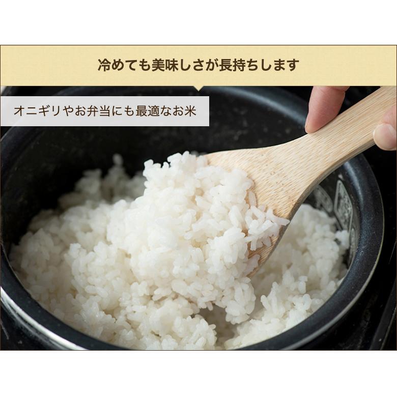 新潟県産コシヒカリ 精米10kg  コメランド 送料無料