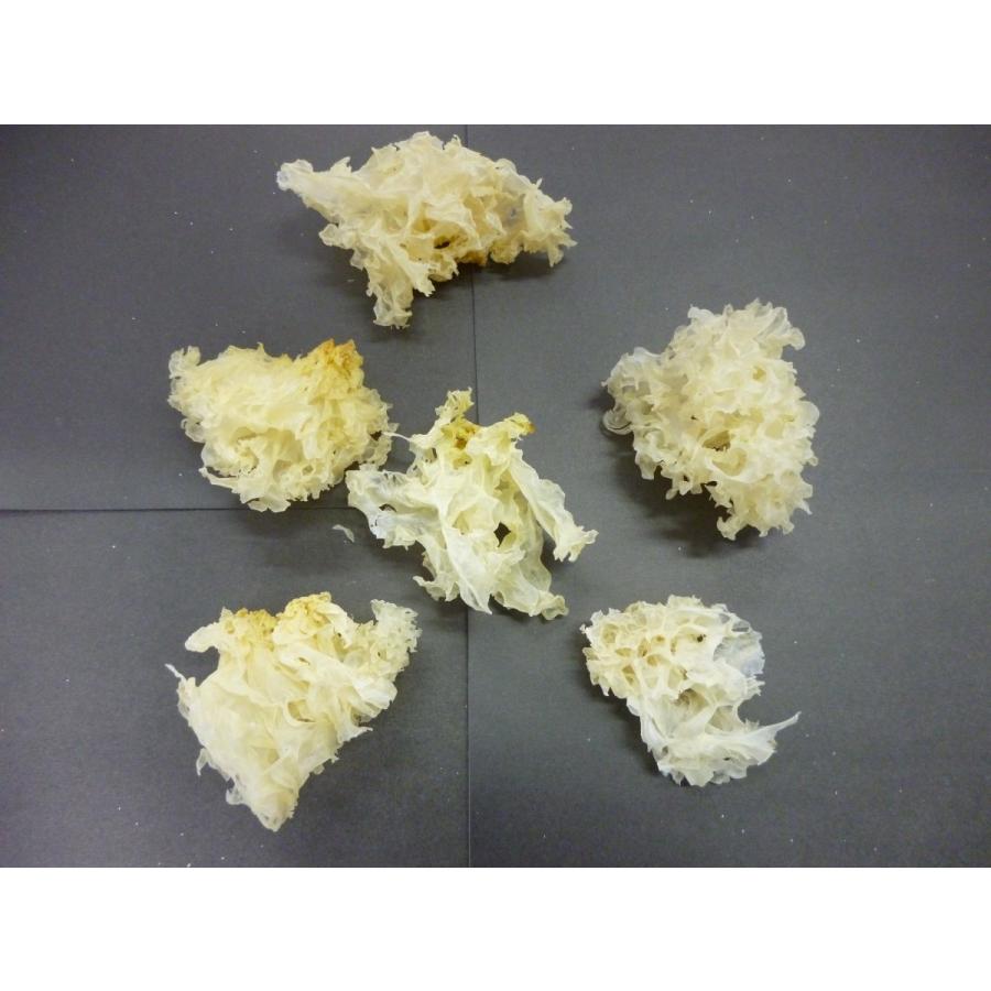  ポイント消化  白きくらげ　200g