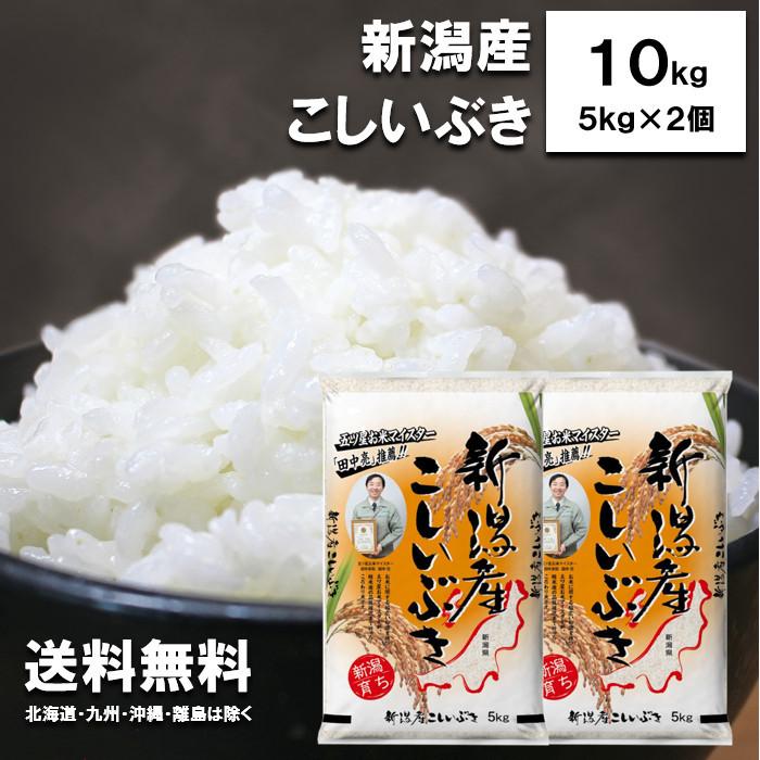 新米　田中米穀　新潟県産　こしいぶき　10kg　（5kg×2袋）　　新潟　新潟産　新潟米　白米　ご飯　令和5年度産