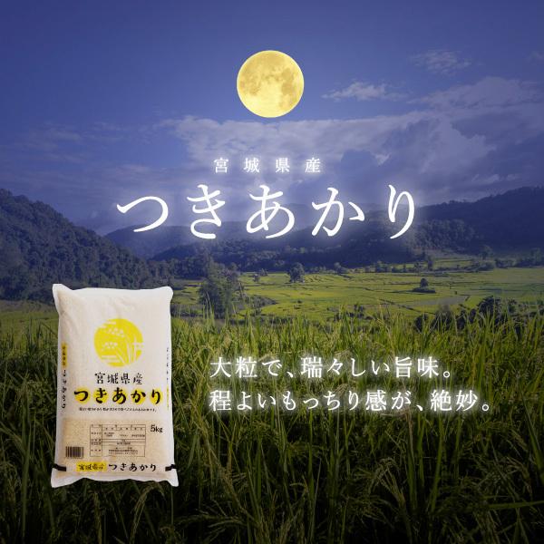 新米 米 10kg つきあかり 宮城県産 米10kg お米 白米 令和5年産 送料無料 5kg×2袋セット