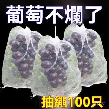 自帶抽繩葡萄水果套袋防蟲防鳥防雨水果網袋無花果透果蔬收納袋 ZFTI