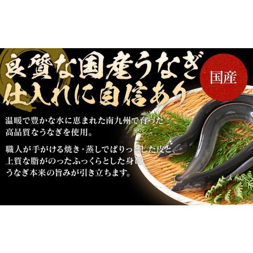 ふるさと納税 福岡県 大木町 うなぎの特大蒲焼（2尾）230g以上×2尾　AE04