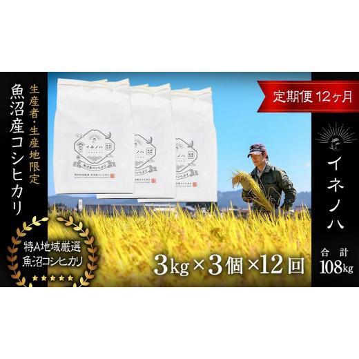 ふるさと納税 新潟県 十日町市 ＜定期便・全12回＞魚沼産コシヒカリ「イネノハ 」精米(3kg×3)×12回