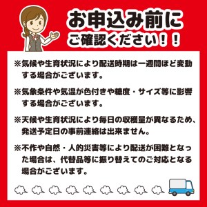 令和6年産 山形の さくらんぼ 「佐藤錦」 1kg（500g×2）秀品 L以上 山形産 2024年産　019-A-JA002