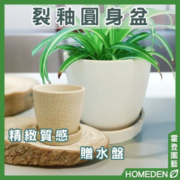 【隔日到貨】裂釉圓身花盆  2｜3吋盆 裂釉圓盆 陶瓷 花盆 花器 多肉花盆 仙人掌花盆 盆栽【HOMEDEN霍登園藝】