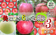 旬のりんご  家庭用 3kg × 6回 ヤマウラ農園 沖縄県への配送不可 2023年8月中旬頃から2023年12月中旬頃まで順次発送予定 令和5年度収穫分 信州 果物 フルーツ リンゴ 林檎 長野 64500円 予約 農家直送 長野県 飯綱町 [1589]