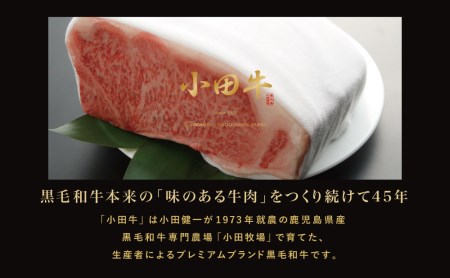 鹿児島県産黒毛和牛「小田牛」 カタロースすき焼用 300g ＆ ハンバーグステーキ 2個 すきやき 焼肉 総菜 黒毛和牛 小田畜産 冷凍