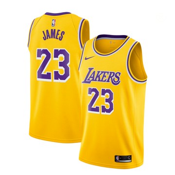 NIKE NBA 青年版 籃球衣 湖人隊 詹姆士 LBJ Lakers Lebron James