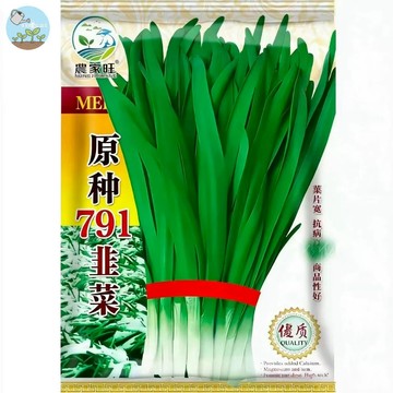 【原廠包裝】台灣現貨 白根韭菜種子（White Root Leek）2克裝  細葉韭菜/年菜種子 四季可種 陽台盆栽