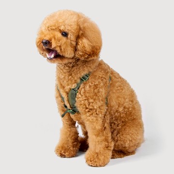 SPUTNIK 胸背帶 - 綠 (S+)