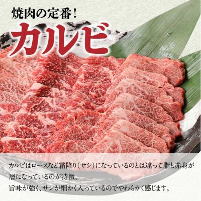 ふるさと納税 延岡市 宮崎牛A4〜A5 カルビ 焼肉・バーベキュー用 1kg(500g×2)