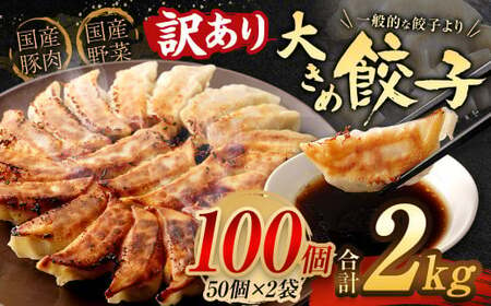 大きめ 餃子 100個 計2kg ラー麦 ぎょうざ 冷凍