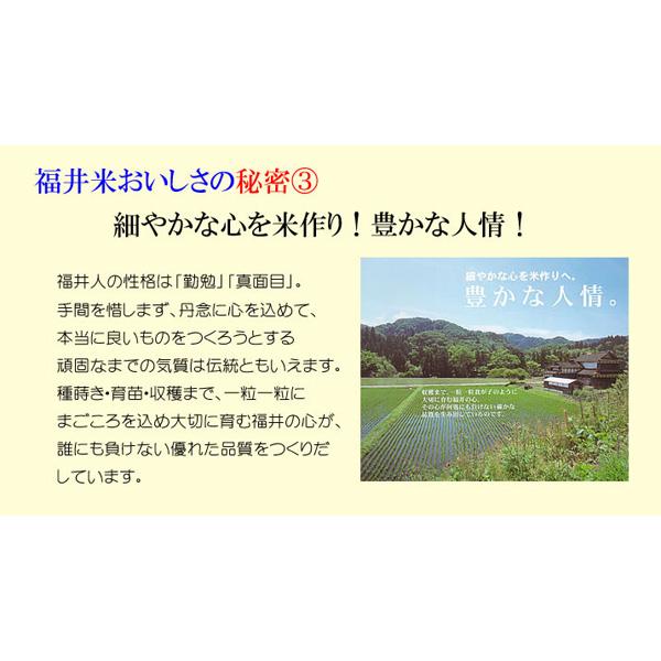 新米 令和5年産 無洗米 10kg (5kg×2袋) 福井県産 コシヒカリ 出荷日精米 米 お米 送料無料